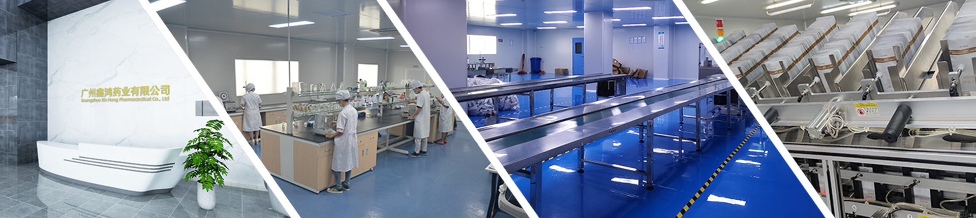 广州鑫鸿药业有限公司